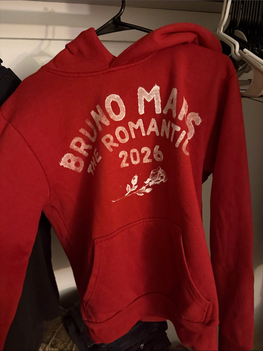 'The Romantic 2026' Red Pullover Hoodie